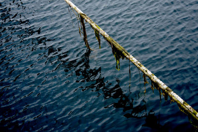 Close-up of water