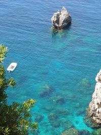 High angle view of trees by sea