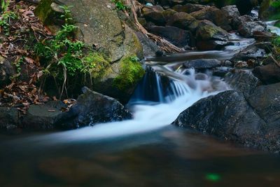 Scenic view of waterfall in forest