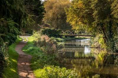 Footpath by river against trees