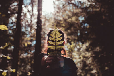 Person holding umbrella against trees in forest