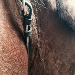 Close-up of object on wall