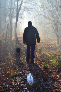 Rear view of man standing in forest