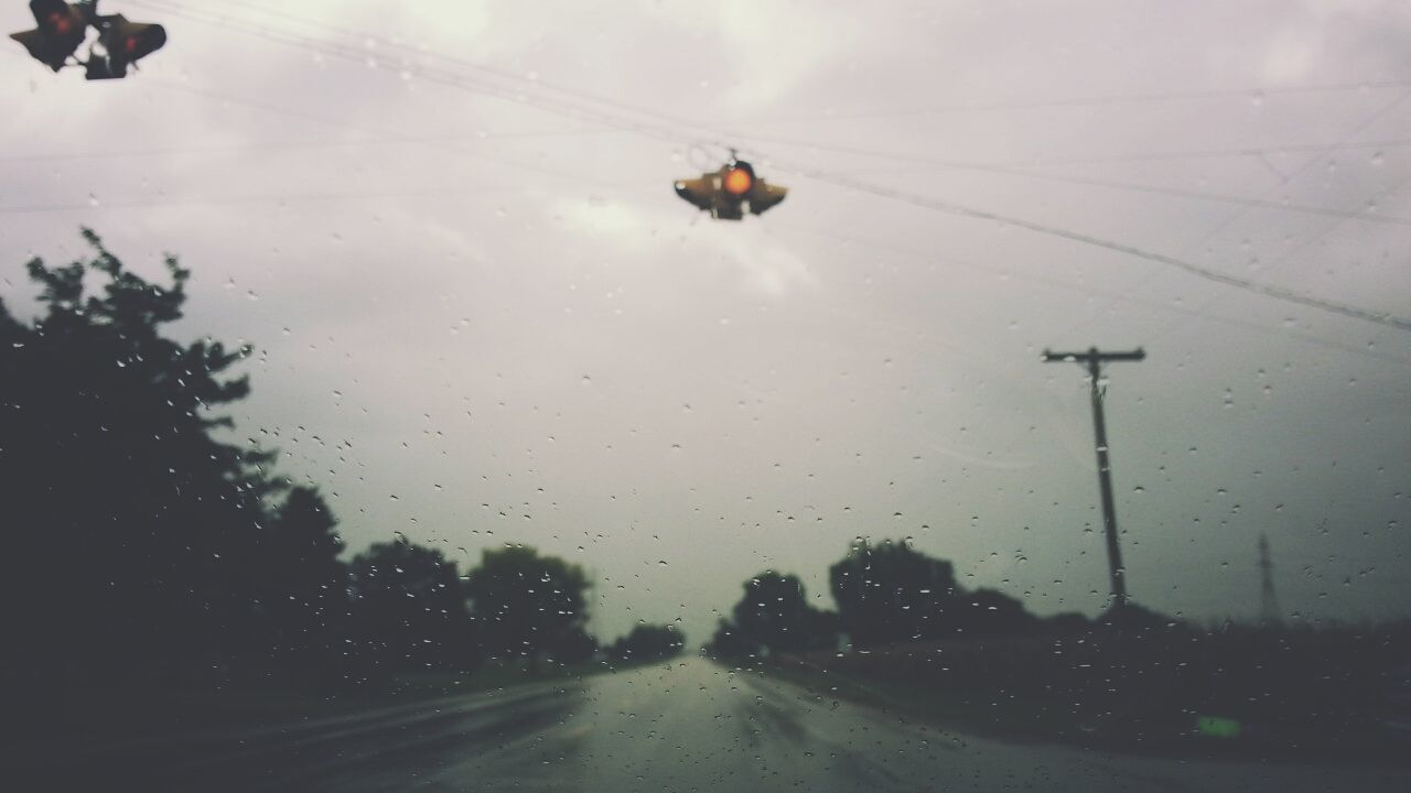 transportation, sky, weather, wet, animal themes, mode of transport, transparent, window, rain, car, season, road, glass - material, drop, one animal, animals in the wild, wildlife, indoors, silhouette, street