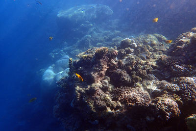 underwater
