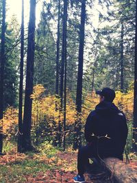 Rear view of man sitting by trees in forest