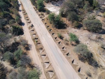 High angle view of railroad tracks amidst trees on field