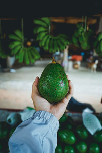 Cropped image of hand holding fruit at market