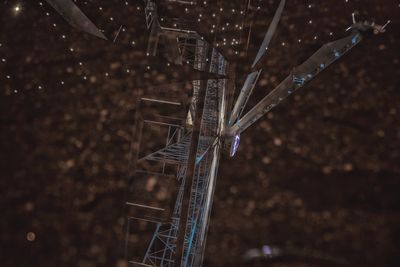 Close-up view of night