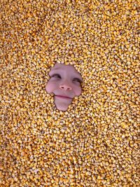 High angle view of teenage girl amidst corns