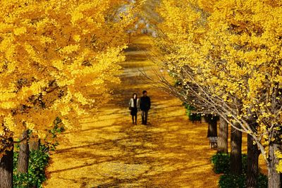 People walking on footpath during autumn