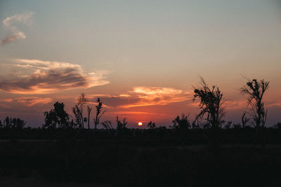 Silhouette trees against sky during sunset