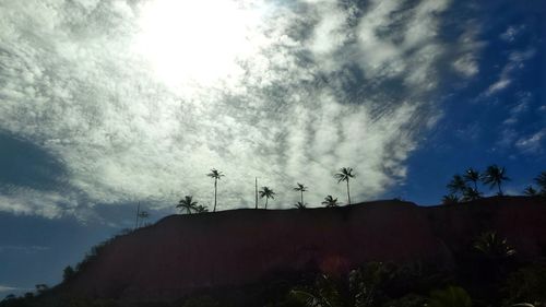 Low angle view of trees against sky