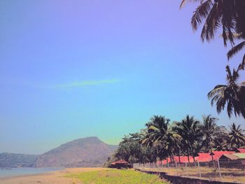 Scenic view of landscape against clear blue sky