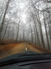 Country road seen through car windshield