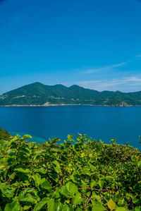 Scenic view of sea against blue sky