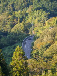 High angle view of road amidst trees in forest