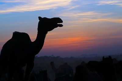 Silhouette horse against sky during sunset