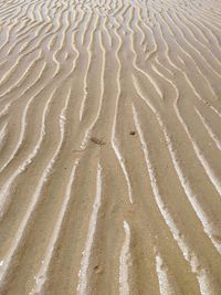 Full frame shot of sand dune