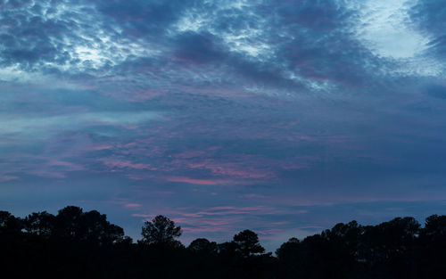 Low angle view of silhouette trees against sky at sunset