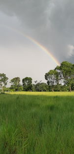 Scenic view of field against rainbow in sky