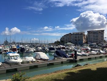 Sailboats moored in harbor