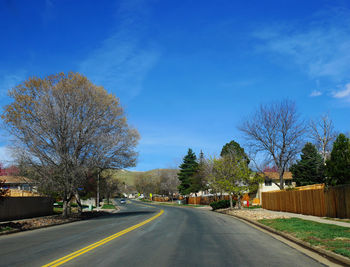 Road amidst bare trees against blue sky