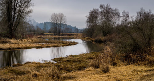 Scenic view of lake in forest against sky