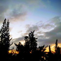 Low angle view of silhouette trees against sky at sunset