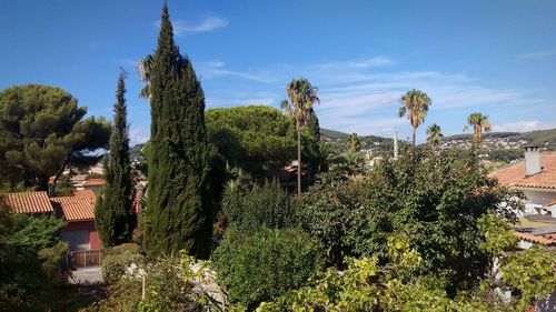 Plants and trees against sky