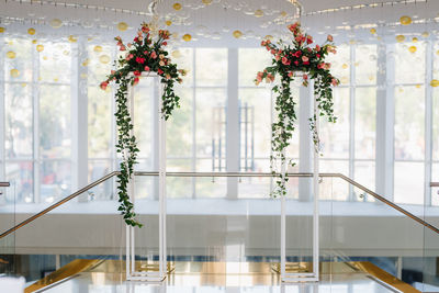 Flower pots on railing against window