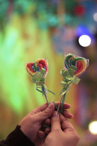 Close-up of hand holding flower