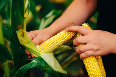 Close-up of hand holding hands