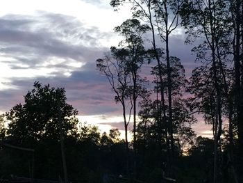 Low angle view of trees against cloudy sky