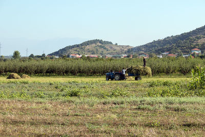 Agricultural scene in erseke, albania
