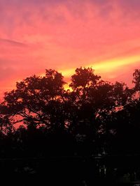 Silhouette trees against sky at sunset