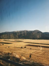 Scenic view of field against clear sky