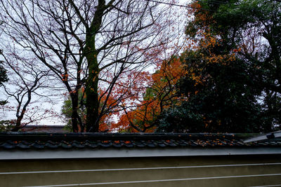 Low angle view of trees and building against sky