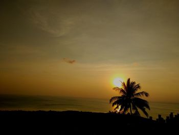 Silhouette palm tree by sea against sky during sunset
