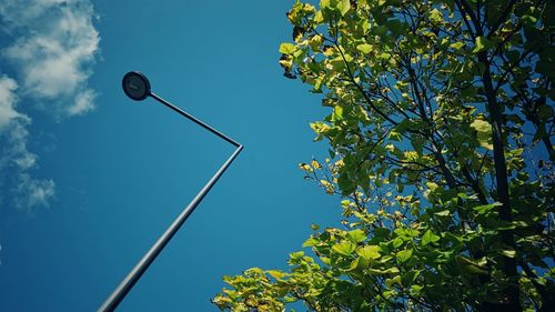 Low angle view of street light against blue sky