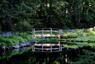 Wooden foot bridge over a garden pond