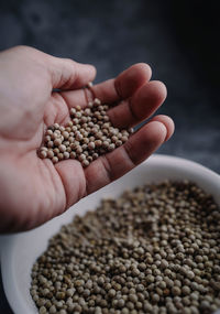 Cropped image of person holding bread