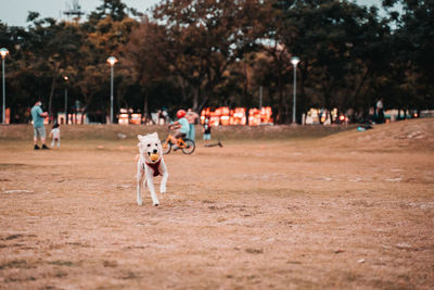 Group of people in park