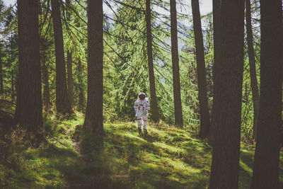 Woman standing by trees in forest