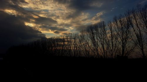 Silhouette bare trees against sky during sunset