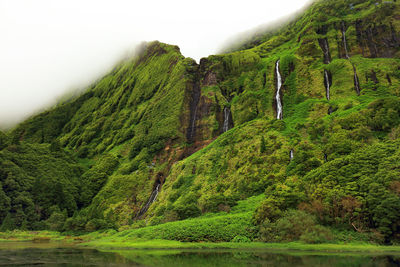 Scenic view of green landscape against sky