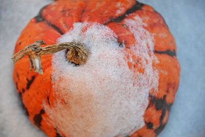 Close-up of pumpkin with snow