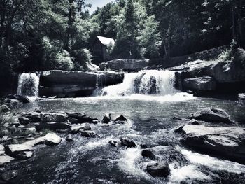 River flowing through forest