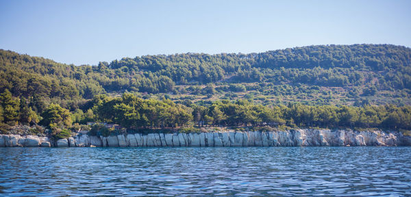 Scenic view of river by trees against clear sky