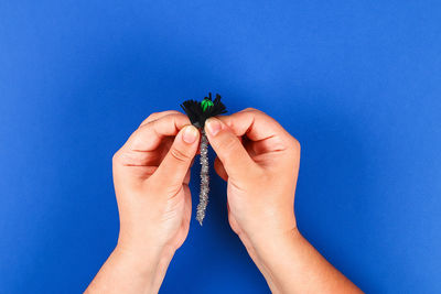 Cropped image of hand holding plant against blue background